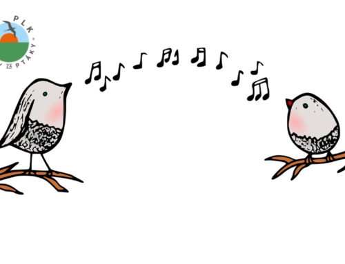 Na plk #03 : Jak využít migraci k ptáčkaření i o tom, že na pohlaví, stáří a zpěvu záleží!