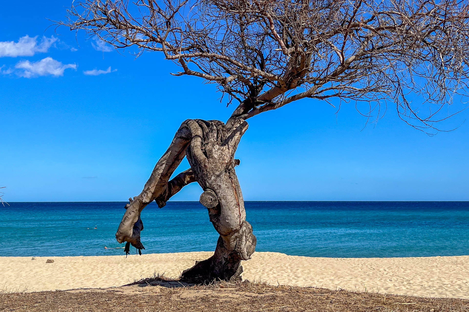 Playa de Cofete