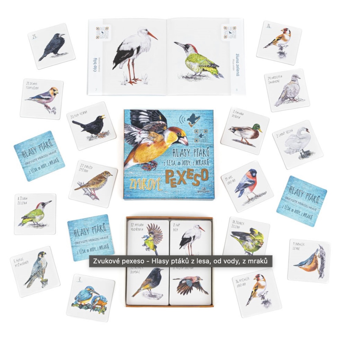 Obrázek 09.12.2025 v 16.43