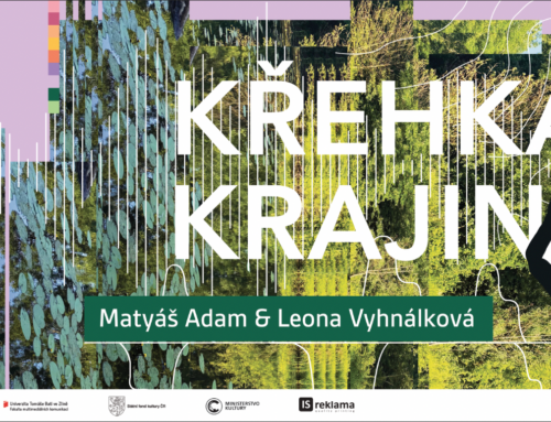 Křehká krajina – pozvánka na zvukovou výstavu