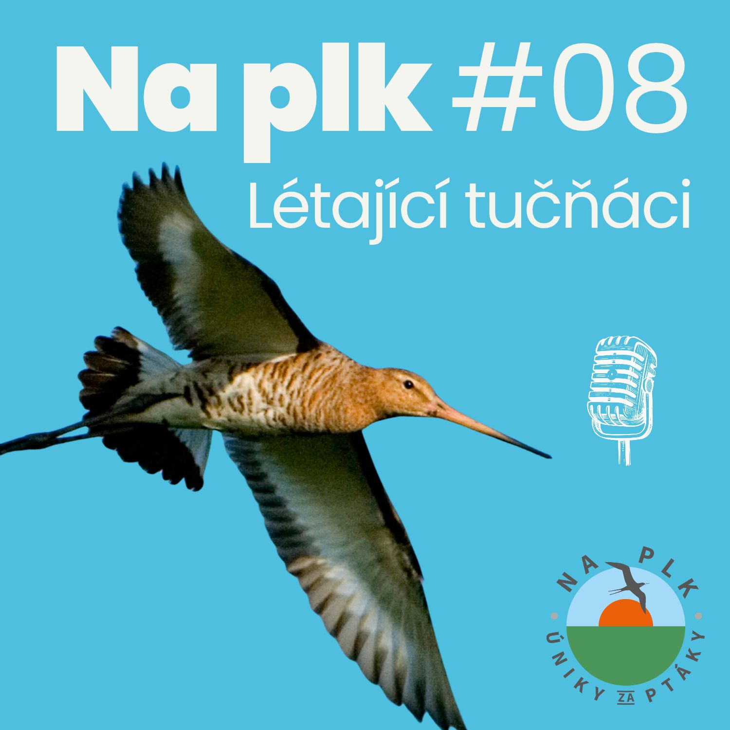 Na plk: Úniky za ptáky