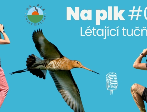Na plk #08: Jak ztloustnout a nezbláznit se z toho